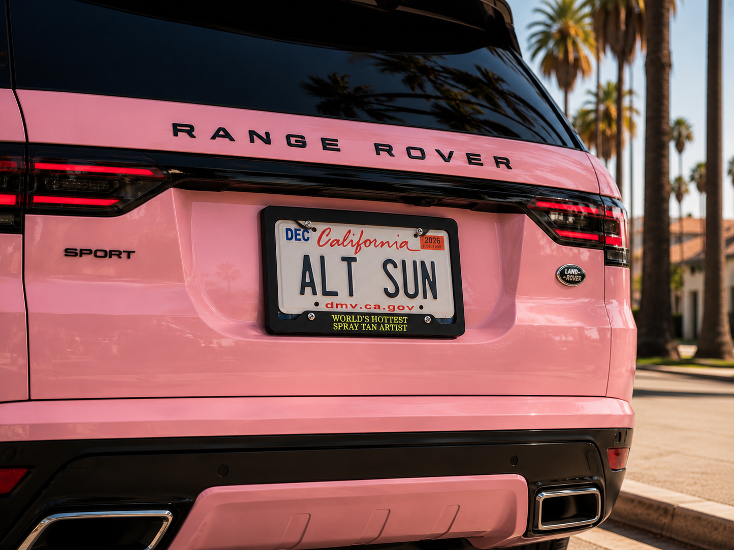 World's Hottest License Plate Frame | ALT SUN X SUNNY HUNNY