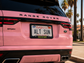 World's Hottest License Plate Frame | ALT SUN X SUNNY HUNNY